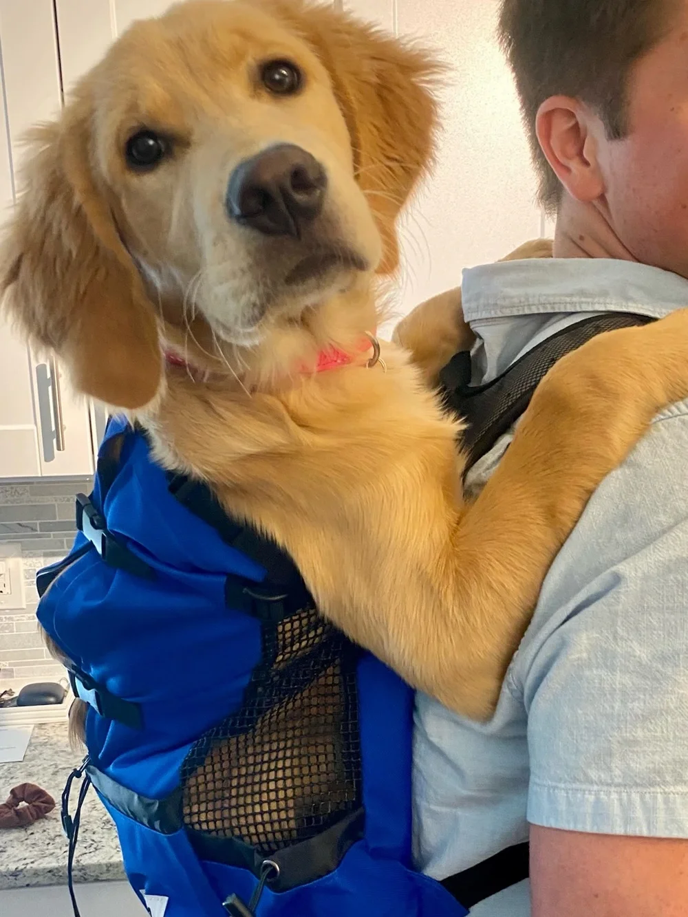 bark Bag never used